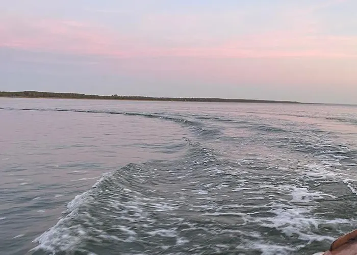 Kunni 2.0 * Паланга